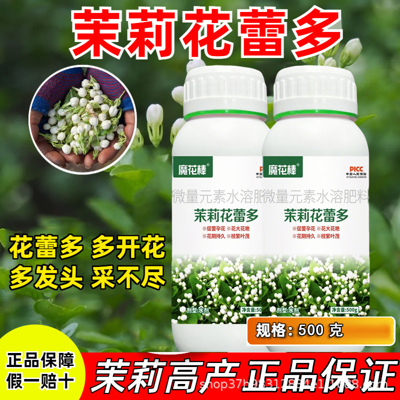 茉莉花肥料花蕾多开花多发头多催花保花叶面肥 广西横县 基地推荐