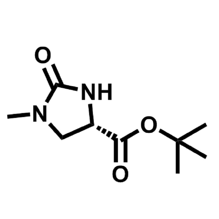 (4S)-1-甲基-2-氧代咪唑啉-4-甲酸叔丁酯  CAS:83056-79-5  98%