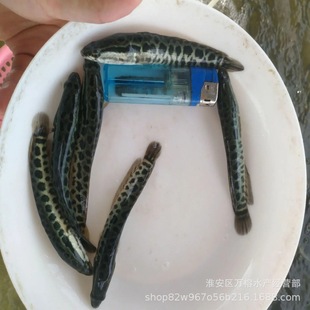 ���~���� ���~���Bֳ ��ˮ���~������