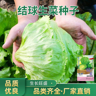 �������˽Y�����˷N���ļ����ԷN�Ӵ������������˷N����N�߲���