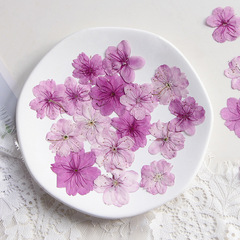 桜真花植物標本教育diy手作りフォトフレームブックケース押花画ドライバッグ材料