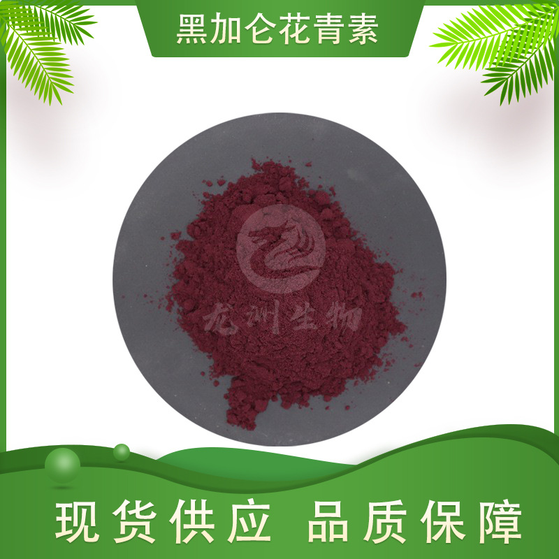 黑加仑花青素   黑加仑提取物 黑加仑粉 龙洲供应 厂家现货