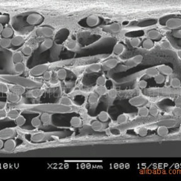 医疗专用膜—双层聚四氟乙烯(PTFE)气体过滤膜