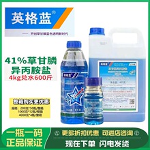 华星英格蓝 41%草甘膦异丙胺盐草甘磷苹果园非耕地杂草除草剂