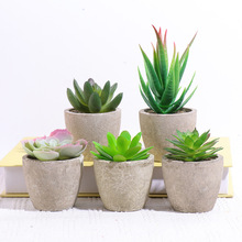 仿真多肉植物纸浆盆景 仿真多肉盆栽盆栽植物多肉组合