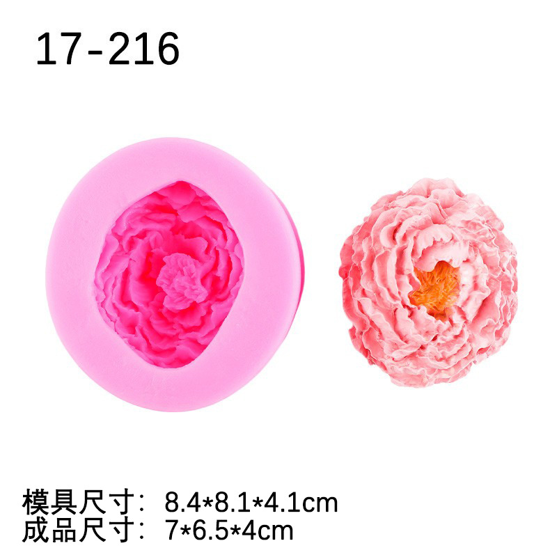 Rosa 17-216