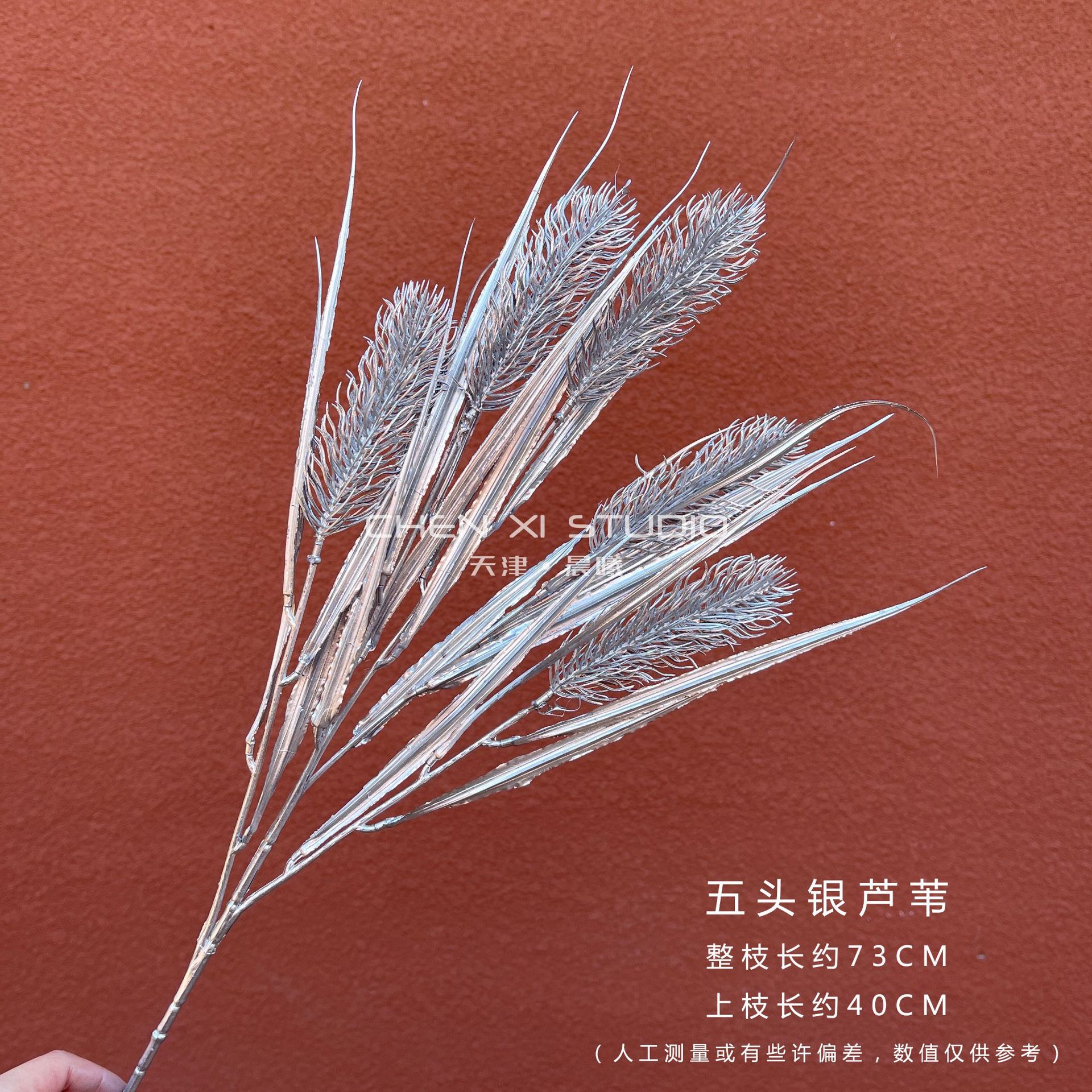 다섯 머리 갈대