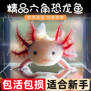 ���ǿ����~��ˮ�~ϔ�ˮ�匙���~��������ˮ�~���B���~�^�p�W�t�~