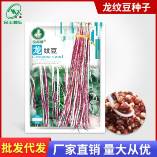 ���y�����N�Ӽt���ǷN�Ѽt�߽Ƕ��N���L�����Ѽt�������߲������l