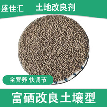 ���������{������������������N��������I�BԪ������������