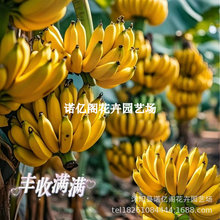 �V�������㽶�۽����O��������ܛŴ ͥԺ�������� �������~�l؛