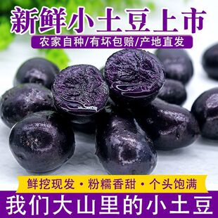 �ຣ�خa���r�������ڽ�����ɫ���R��������С��������������
