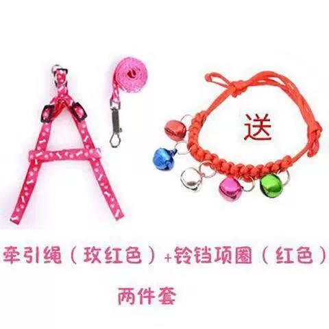 Fuchsia small bell