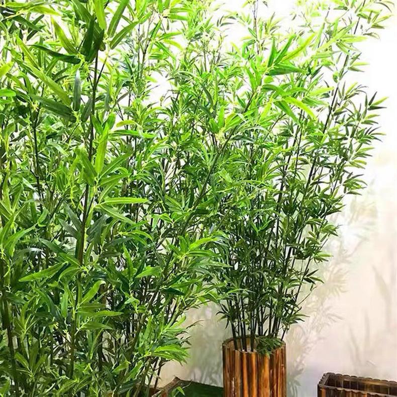 微信图片_20210911082059