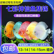 ���ֵ�^�p�~�Ꭷ�߲������~ѩ�������{ؔ��t���O��ֱ�]���p����