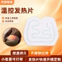 加热定制恒温持久电热片