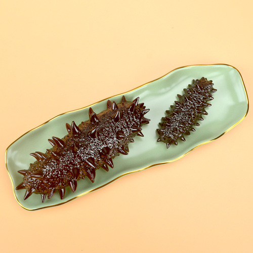 Simulated Sea Cucumber Model 3D Seafood Prop Children's Pretend Play Toy Eat-and-Play Kitchen Window Display Model Wholesale