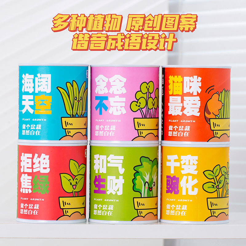 创意文字易拉罐植物盆栽可印logo室内迷你种植罐头桌面绿植小盆栽