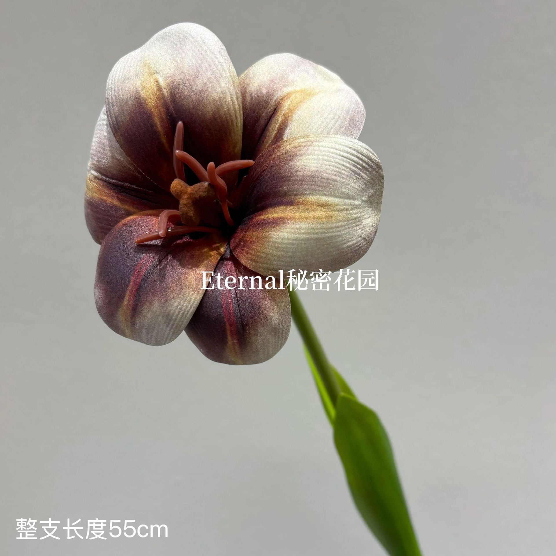 EVA 플립 튤립 브라운