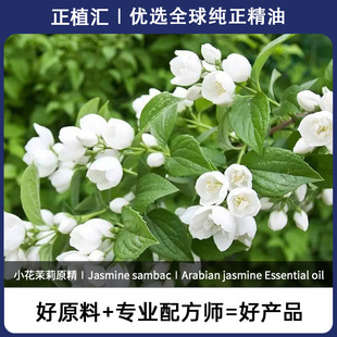 ��ֲ�R�������С���η���������Ժ��޹��Ħ���yƷԭ����ˮ��ζ