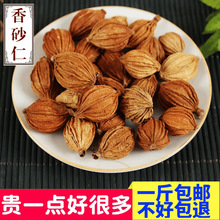 香砂仁天然调料香料大全批 香砂发川砂仁香砂仁壳沙川菜火锅500克
