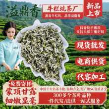 蒙顶甘露2026新茶明前一级头春嫩芽高山云雾绿茶限时特惠散装批发