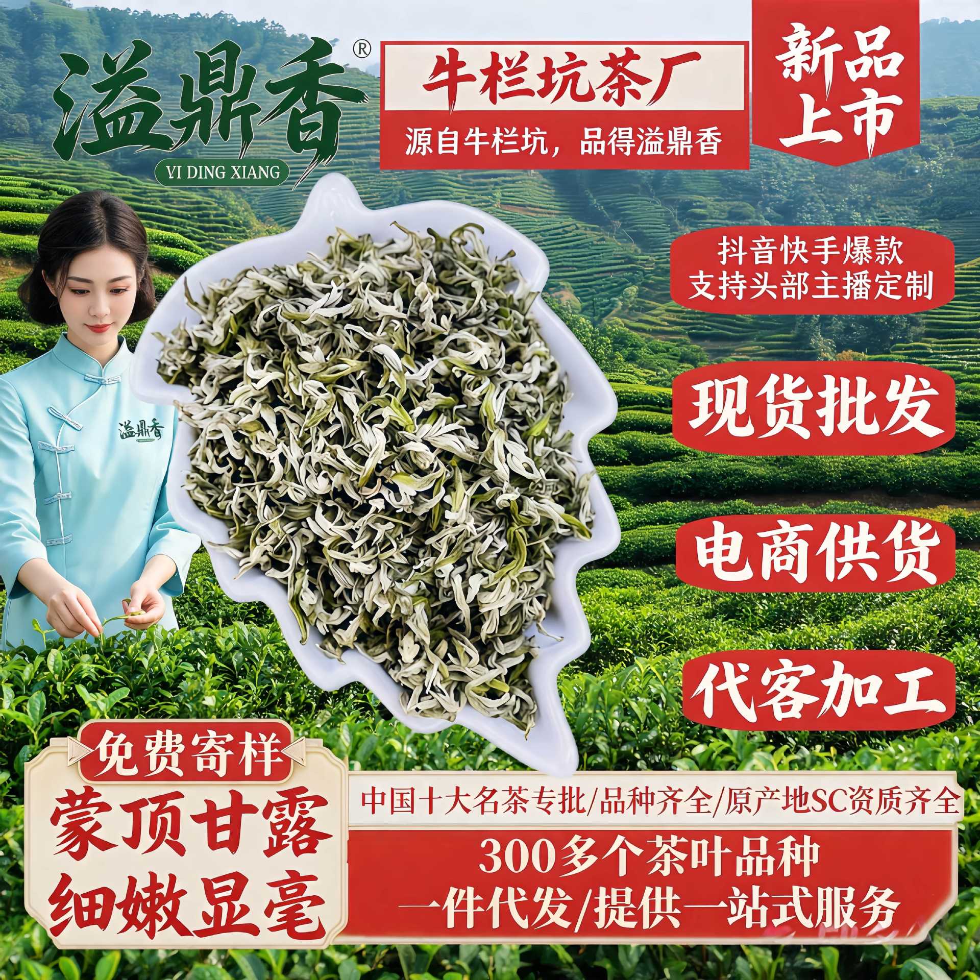 蒙顶甘露2026新茶明前一级头春嫩芽高山云雾绿茶限时特惠散装批发