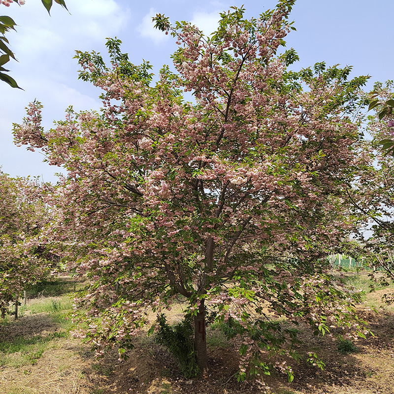 微信图片_20230818145816 副本.jpg