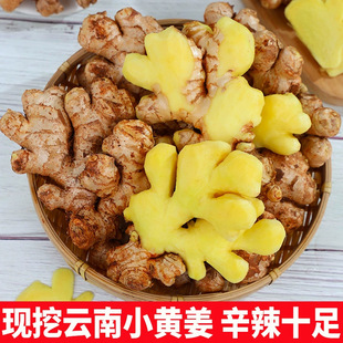 ���С�S�����r�����F�ڸ�ɽɳ���Ͻ������߲�