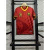 25-26 Cameroon away game