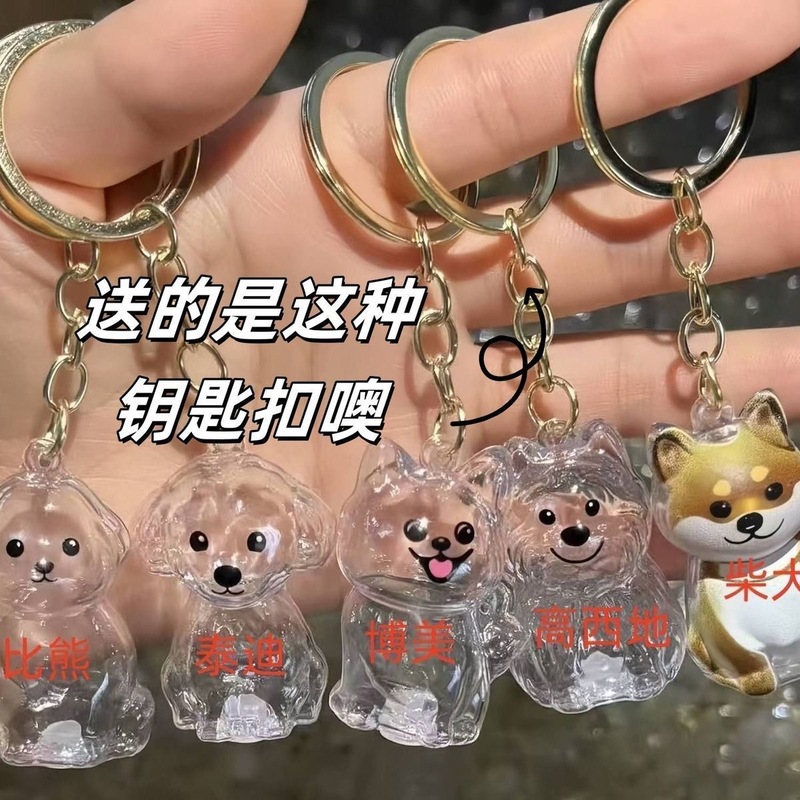 现货狗毛收纳挂件高颜值DIY收藏纪念透明胶囊包包钥匙扣跨境批发|undefined