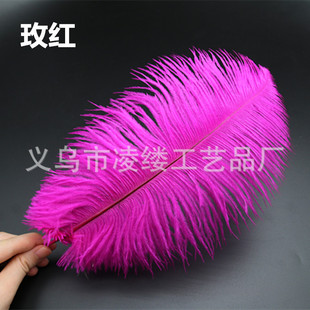 �������ݬF؛�����r�Bë 30-35cm����ë��c·��������Y�b���ë