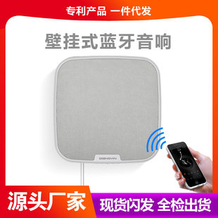 Wireless mobile phone, wall speakers for commercial use, megaphone, new collection, bluetooth