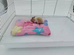Bedding for Hamsters, Small Pet Guinea Pigs, Rabbits and Chinchillas - Winter Warmth Pads - Direct Manufacturer Sale