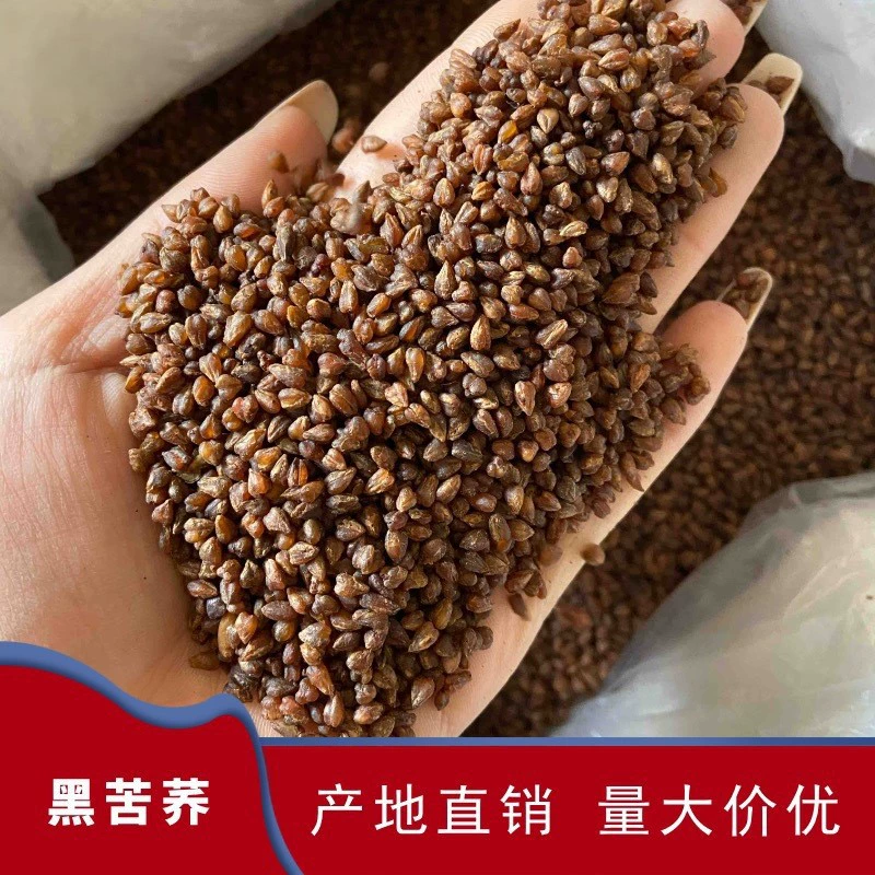 Оптовая поставка цельного растительного чая из татарского гречневого чая, гладкого гранулированного татарского гречневого чая, нового татарского гречневого чая, большая акция.