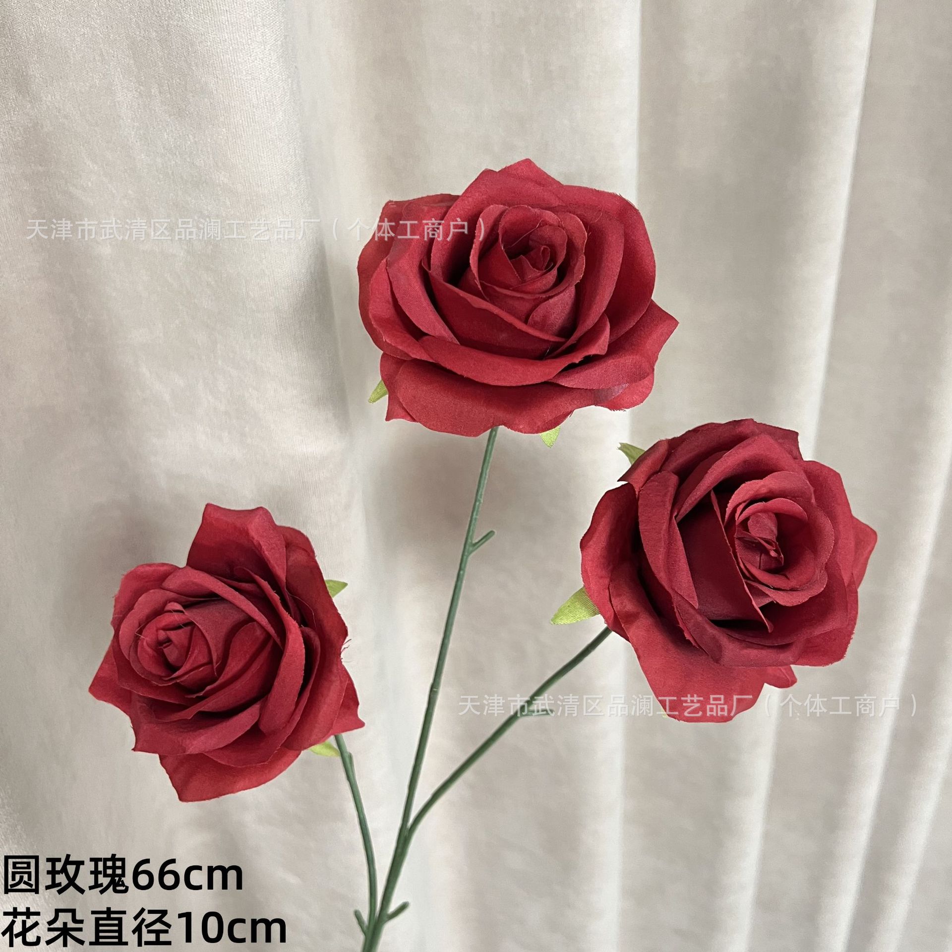 둥근 장미