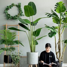 �D߃�Gֲ�٘������B������ֲ�����Ԕ[���p���҃ȿ͏d�b�