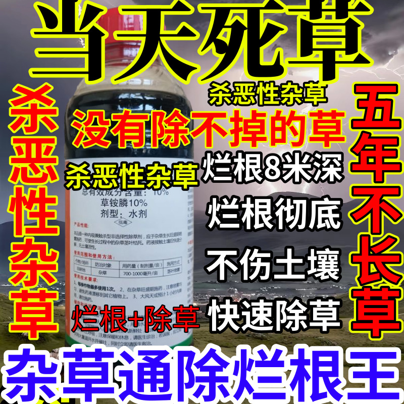 当天死草精草铵膦铵盐果园菜园烂根小飞蓬耕地强效除草剂烂根王