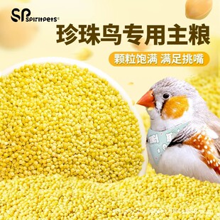 �����B���Î����S�������B�W�^�I�B�B�Z�Bʳʮ�����߲���ȸ���