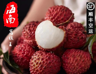 �������d��ɽ��֦���Fժ�F�l�ޟo�����r����֦5��Y���bŴ����