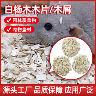 Factory direct supply large price excellent white poplar wood chips sawdust garden covering pet mat