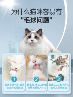 Newit Cat Grass Tablets, Hair Ball Tablets, Hair Cream, Cat Hair Ball Vomiting and Hair Ball Removal, Gastrointestinal Conditioning Hair Tablets
