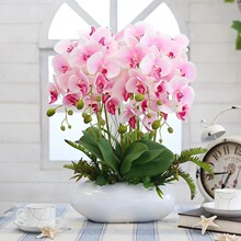 �����m���Ըߙn�������ܿ͏d�ļ��^���Gֲ�󻨺����m�����ɫ���B