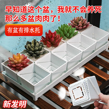 ���P����Č��û����ɫ��֬���b�M�Ϻ͠I�B��ֲ��ظ����ώ��бP