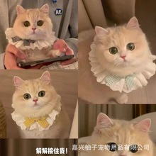 猫咪蕾丝围脖项圈口水巾宠物仙女幼小布偶猫衣服装饰狗狗围兜饰品