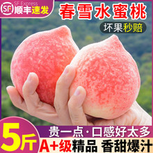 顺丰包邮春雪水蜜桃5斤冬脆桃当季时令孕妇桃子新鲜水果水蜜桃