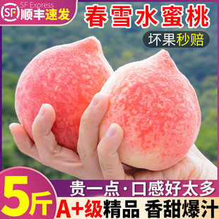 ��S���]��ѩˮ����5�ﶬ���Ү����r���ЋD�������rˮ��ˮ����