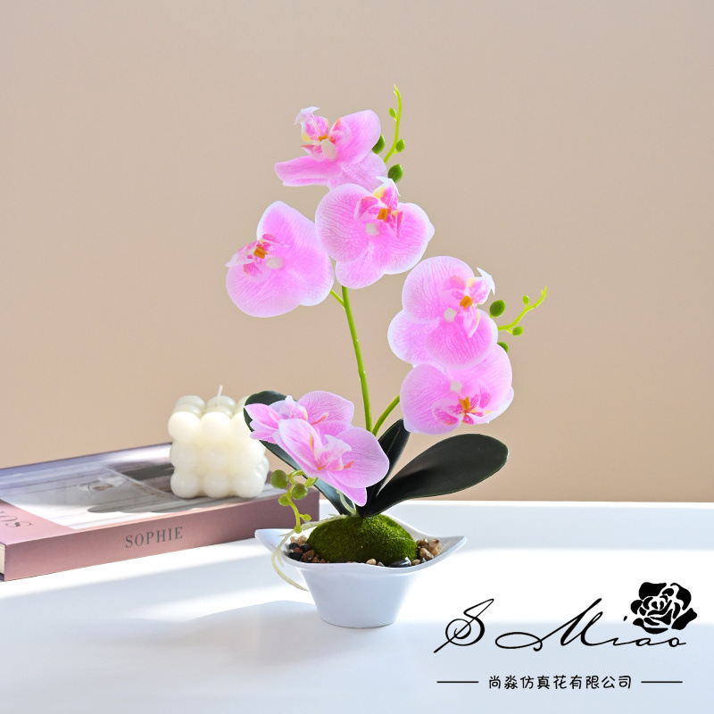 Nueva Phalaenopsis Bonsai de tres horquillas flor artificial decoración creativa Planta artificial suministro directo de fábrica de una sola pieza entrega image 5