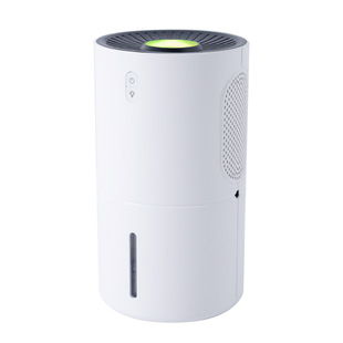 Factory Customized Dehumidifier Household Small Silent Bedroom Basement Dehumidification and Moisture-Proof Mini Dehumidifier Moisture Absorber