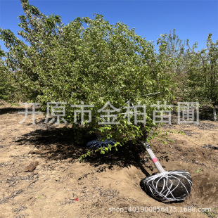 ����ɽ�������͘��ͺ����~ɽ�G�����ԠI�B����ͥ�a��@ɽ���Ӵ��